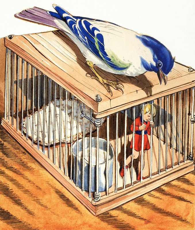 Klein Duimpje in een Vogelkooi door Eduardo Teixeira Coelho