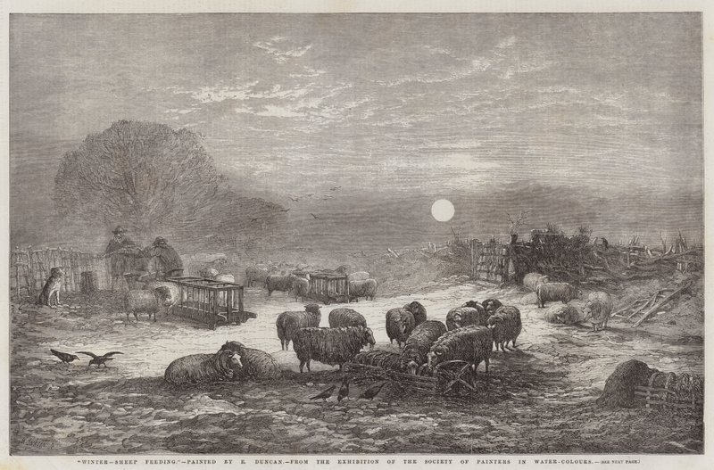 Winter, schapen voeren, uit de tentoonstelling van de Society of Painters in Water-Colours door Edward Duncan