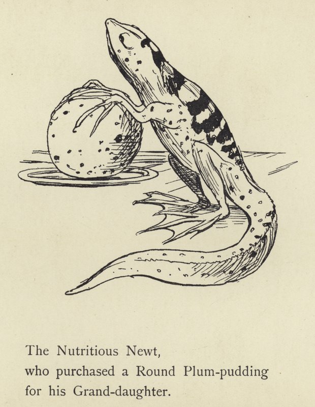 De voedzame salamander door Edward Lear