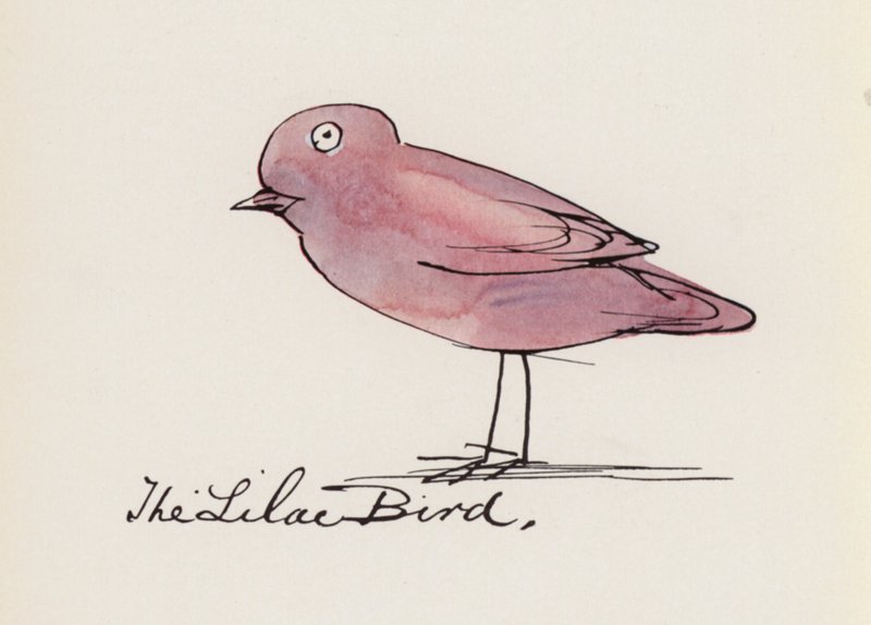 Edward Lear, The Bird Book: De lila vogel door Edward (after) Lear