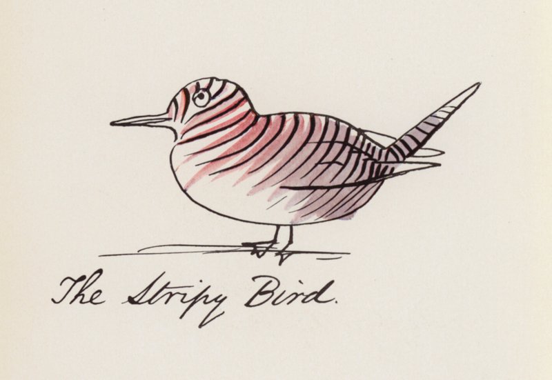 Edward Lear, The Bird Book: De gestreepte vogel door Edward (after) Lear