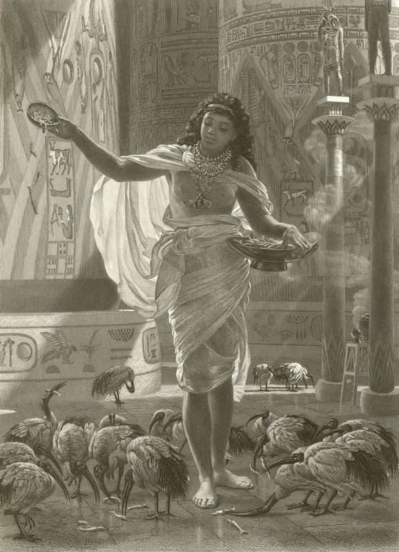 Het voeden van de heilige ibis in de zalen van Karnak door Edward John Poynter