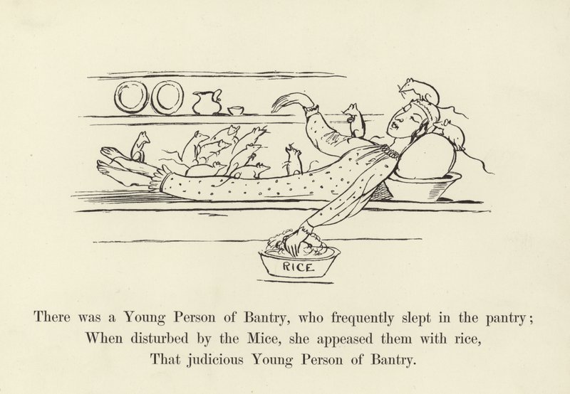 Er was een jong persoon uit Bantry, die vaak in de voorraadkast sliep door Edward Lear