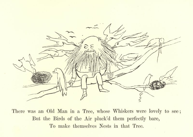 Er was een Oude Man in een Boom, wiens Bakkebaarden prachtig waren om te zien door Edward Lear