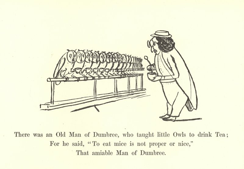 Er was een oude man van Dumbree, die kleine uilen leerde thee drinken door Edward Lear