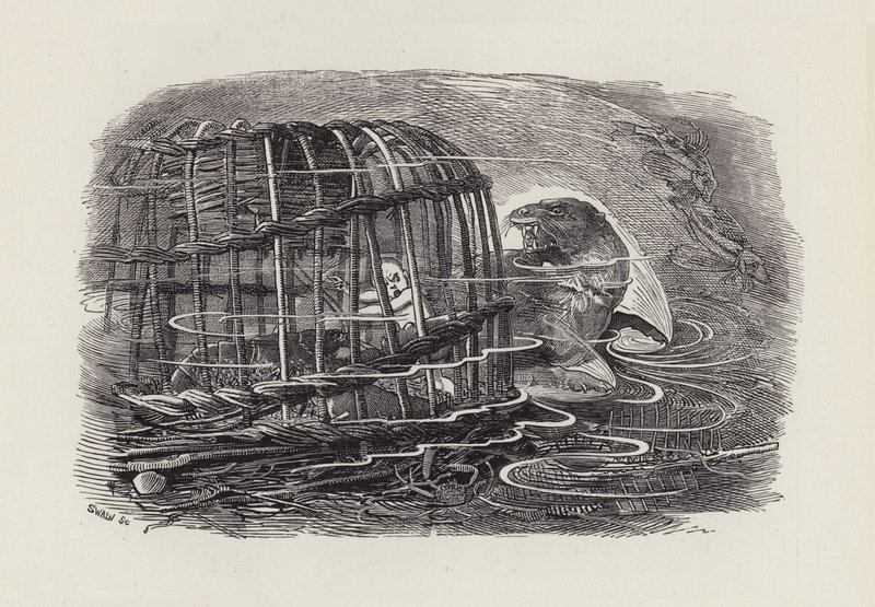 Illustratie voor The Water-Babies door Charles Kingsley door Edward Linley (after) Sambourne