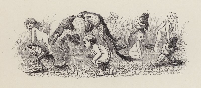 Illustratie voor The Water-Babies door Charles Kingsley door Edward Linley (after) Sambourne