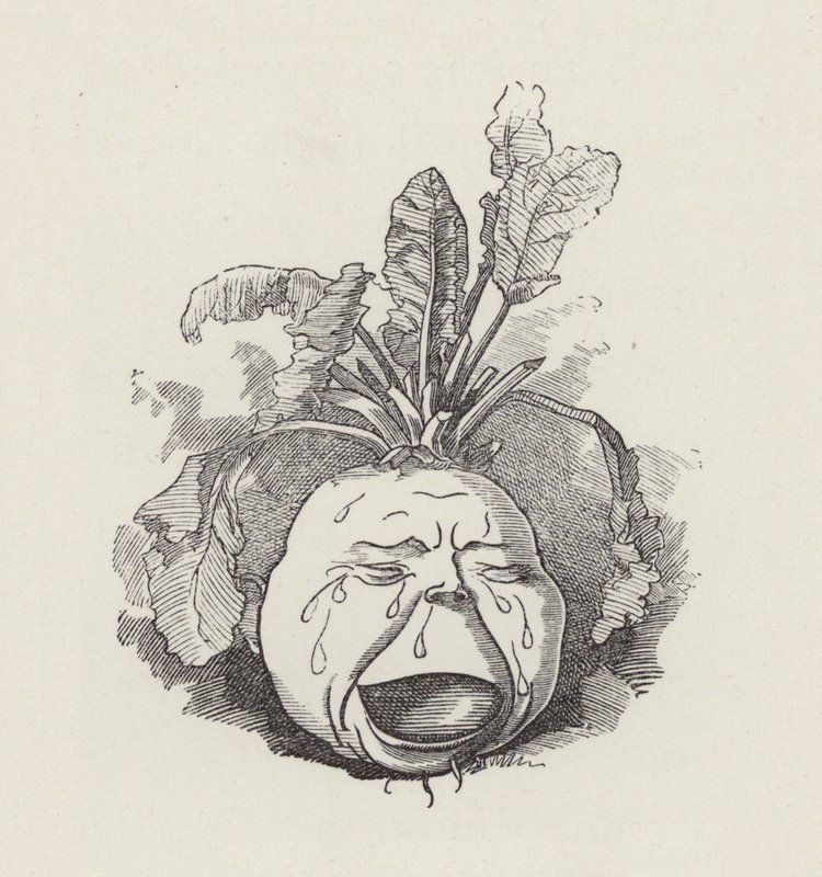 Illustratie voor The Water-Babies door Charles Kingsley door Edward Linley (after) Sambourne