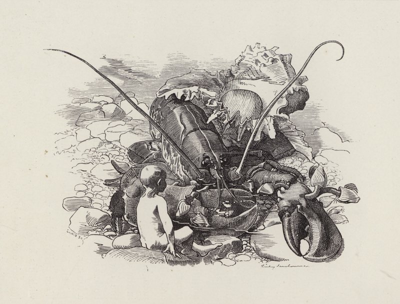 Illustratie voor The Water-Babies door Charles Kingsley door Edward Linley (after) Sambourne