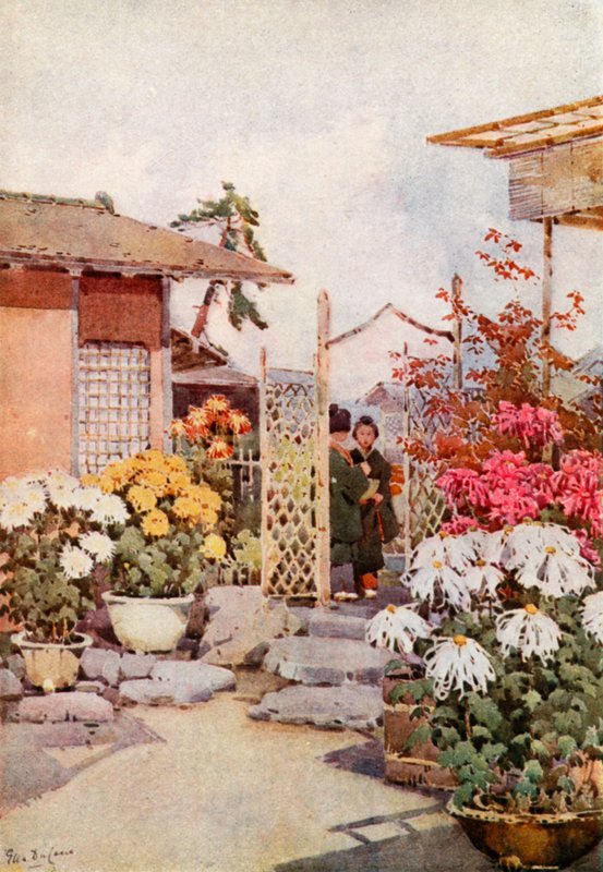 Chrysanten, Kyoto door Ella Du Cane