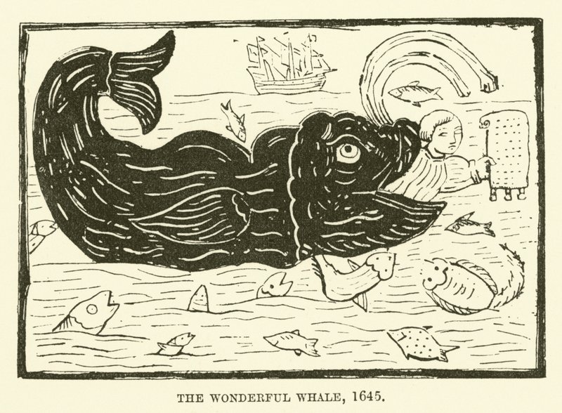De wonderbaarlijke walvis, 1645 door English School