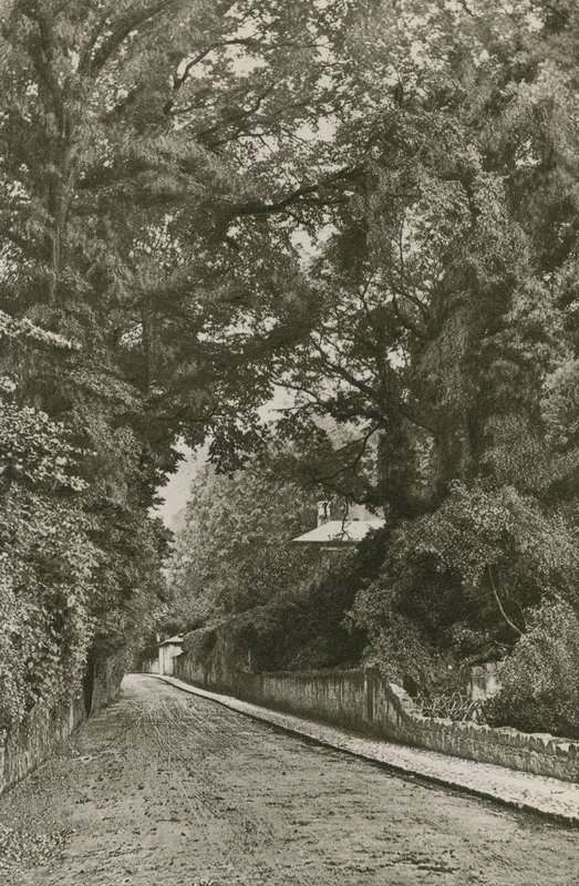 Bonchurch Road, Isle of Wight door English Photographer