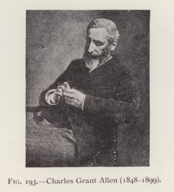 Charles Grant Allen (1848-1899), portret door English Photographer