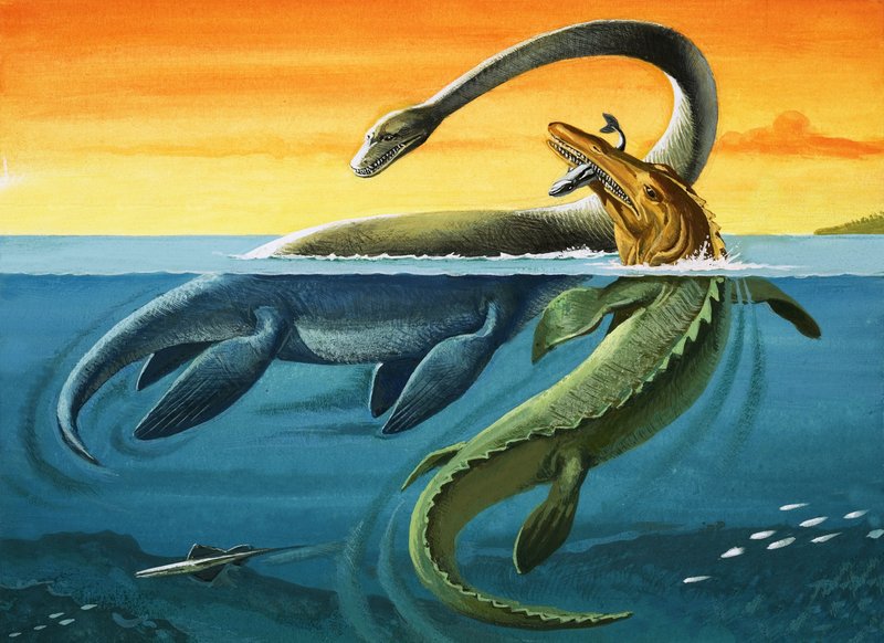 Prehistorische wezens in de oceaan (gouache op papier) door English Photographer
