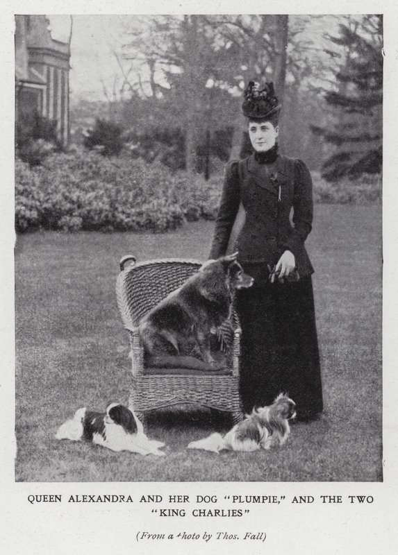 Koningin Alexandra met haar hond, Plumpie, en haar twee King Charles spaniels door English Photographer