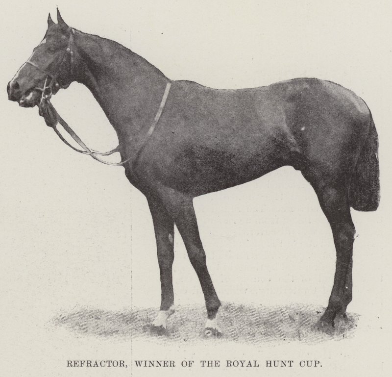 Refractor, winnaar van de Royal Hunt Cup door English Photographer