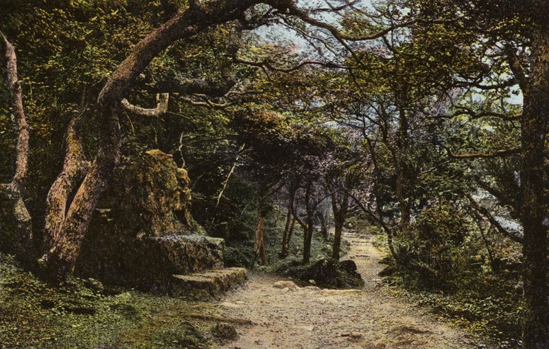 Stenen Zitplaats, de Landslip door English Photographer