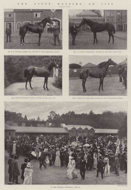 De Ascot Bijeenkomst van 1901 door English Photographer