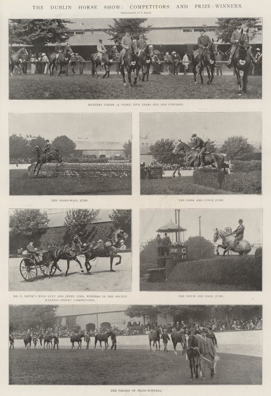 De Dublin Paardenshow, Deelnemers en Prijswinnaars door English Photographer