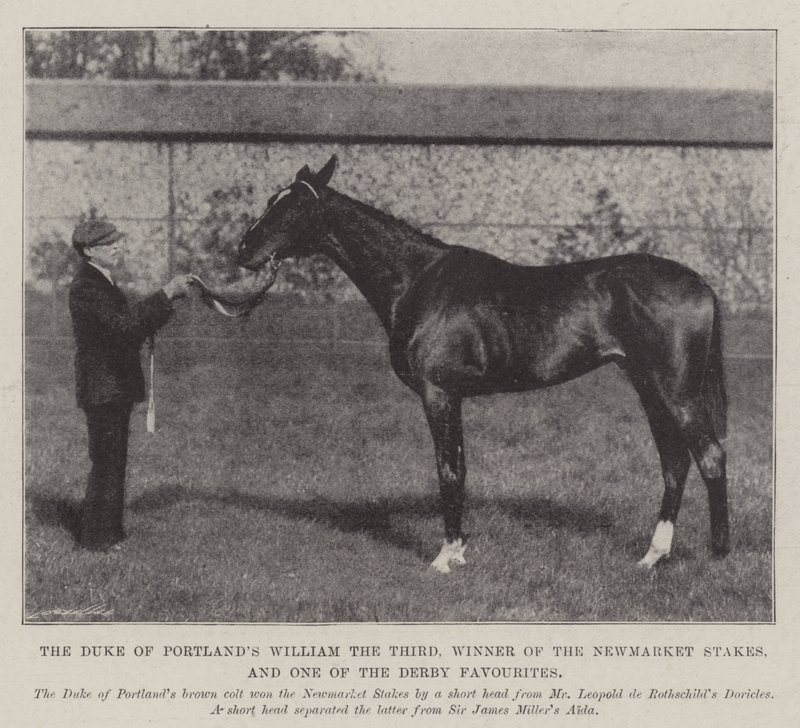 De hertog van Portlands William de Derde, winnaar van de Newmarket Stakes, en een van de Derby favorieten door English Photographer