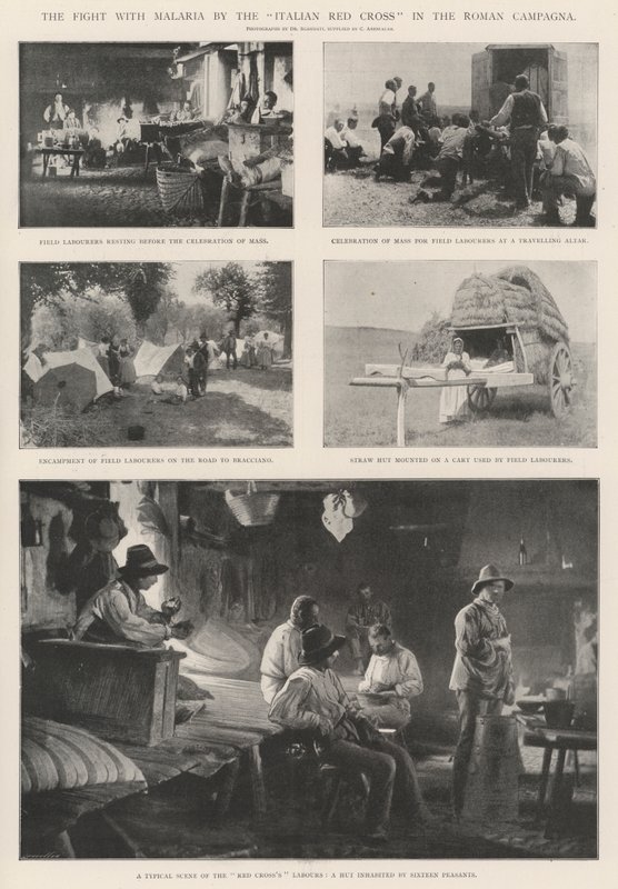 De strijd tegen malaria door het Italiaanse Rode Kruis in de Romeinse Campagna door English Photographer