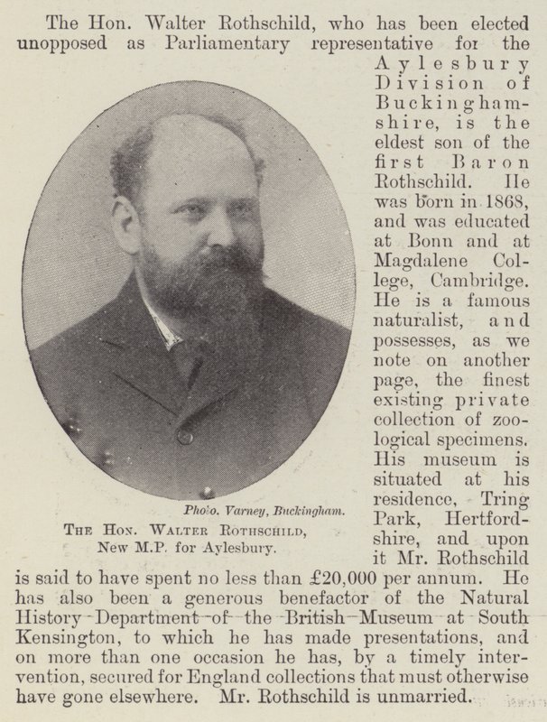 De Eerwaarde Walter Rothschild, Nieuwe MP voor Aylesbury door English Photographer