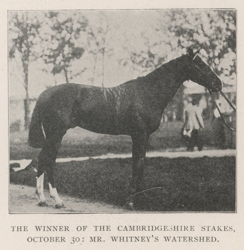 De Winnaar van de Cambridgeshire Stakes, 30 oktober, Mr Whitneys Watershed door English Photographer