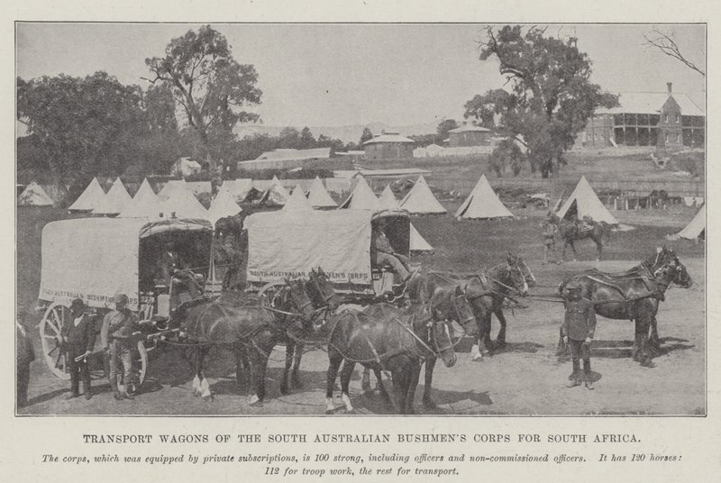 Transportwagens van het Zuid-Australische Bushmens Corps voor Zuid-Afrika door English Photographer