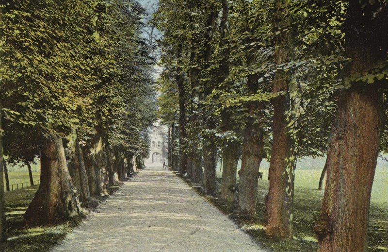 Trinity College, de Laan door English Photographer