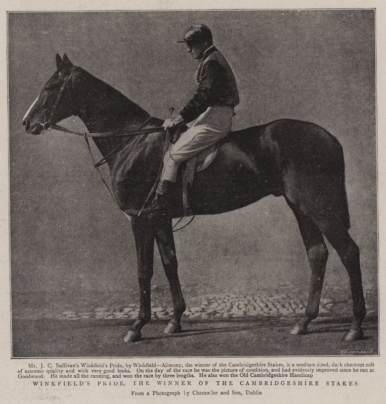 Winkfields Pride, de winnaar van de Cambridgeshire Stakes door English Photographer