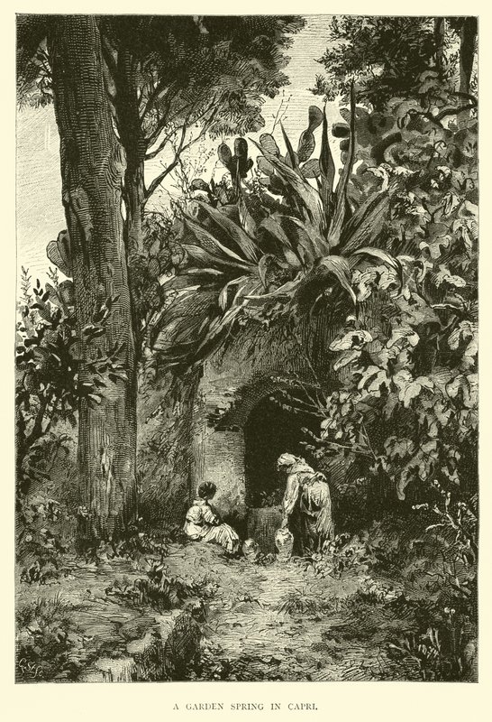 Een tuinspring in Capri door English School