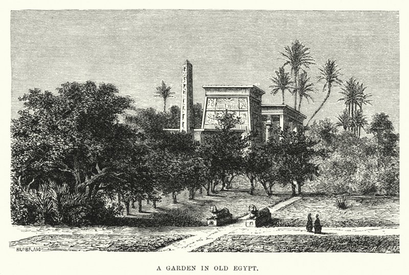 Een tuin in het oude Egypte (gravure) door English School