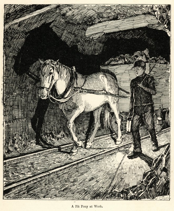 Een mijnpony aan het werk (gravure) door English School