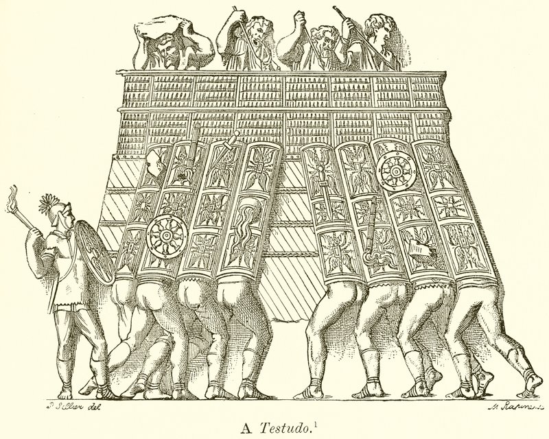 Een Testudo door English School