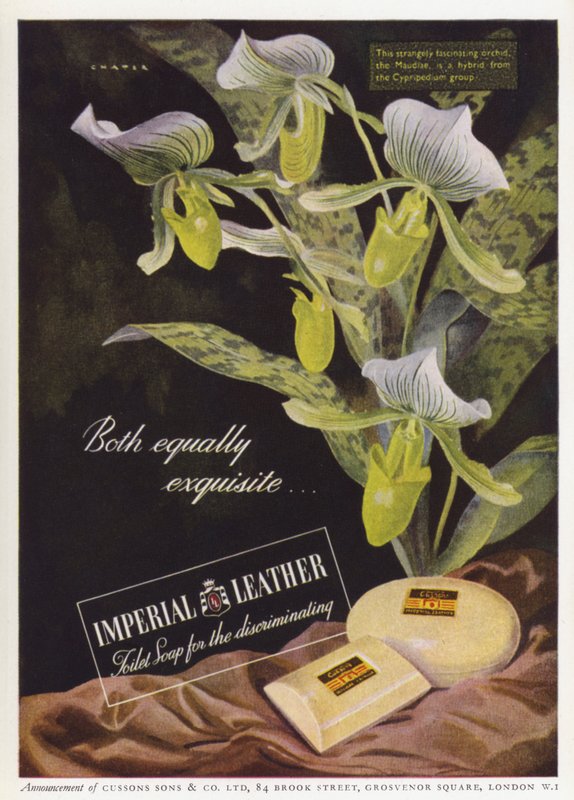 Advertentie voor Cussons Imperial Leather zeep door English School