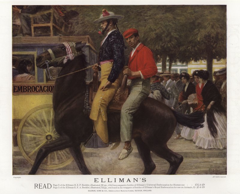 Advertentie voor Ellimans Universele Embrocation door English School