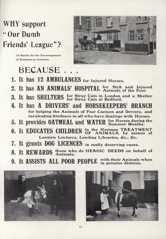 Advertentie voor Our Dumb Friends League door English School