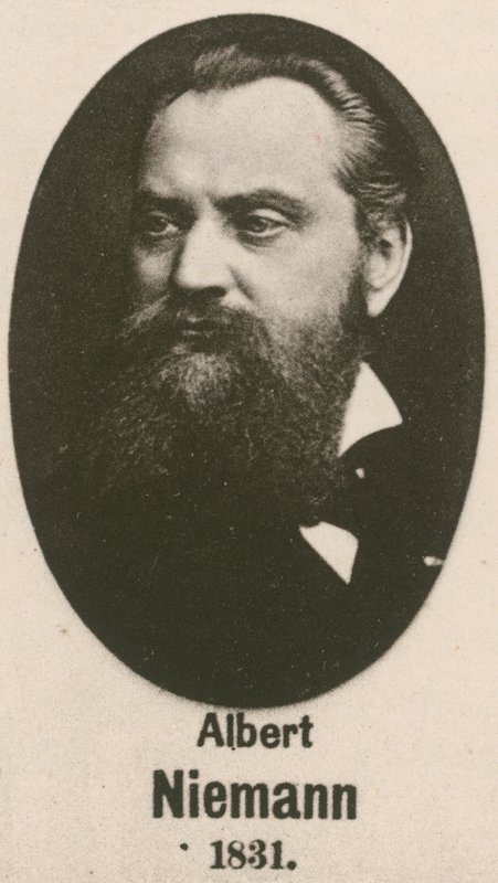Albert Niemann door English School