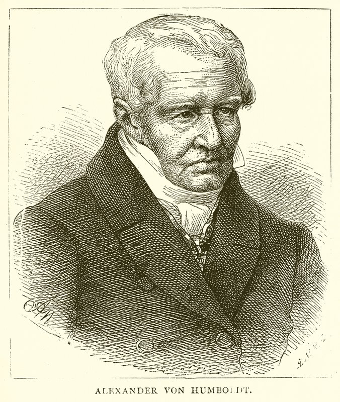 Alexander von Humboldt door English School