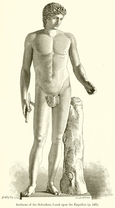 Antinous van de Belvedere, gevonden op de Esquilijn door English School