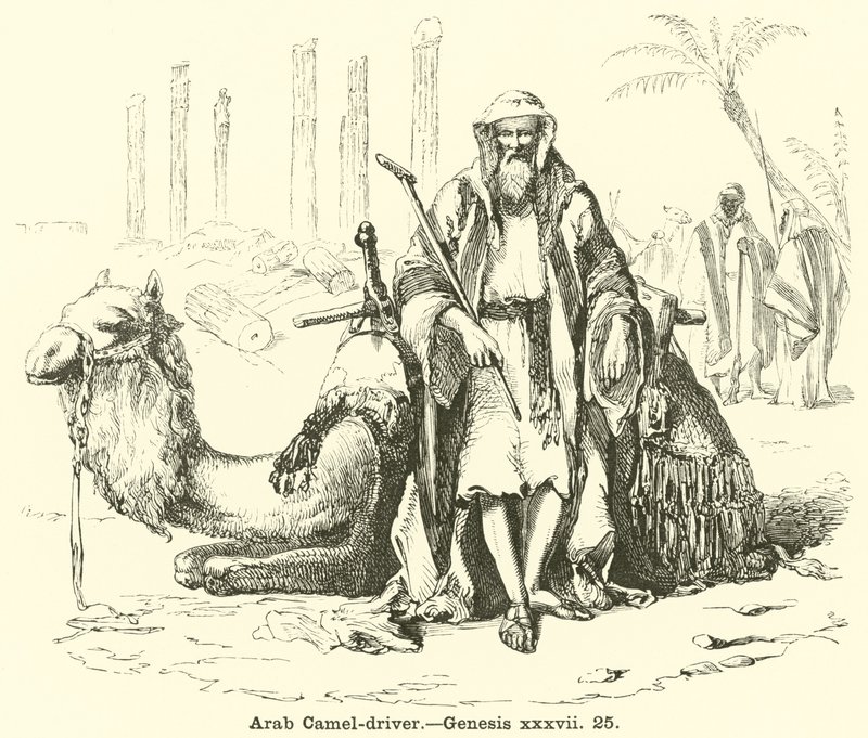 Arabische kameeldrijver door English School