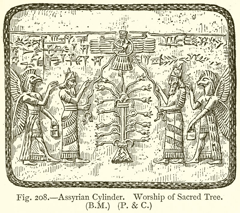 Assyrische cilinder. Aanbidding van de heilige boom door English School