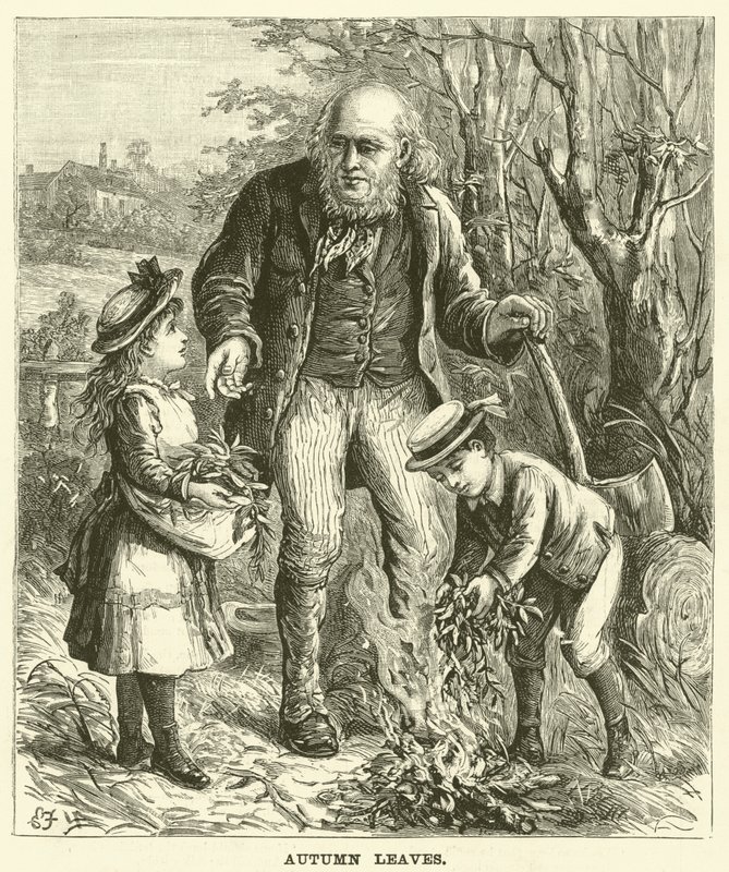 Herfstbladeren (gravure) door English School