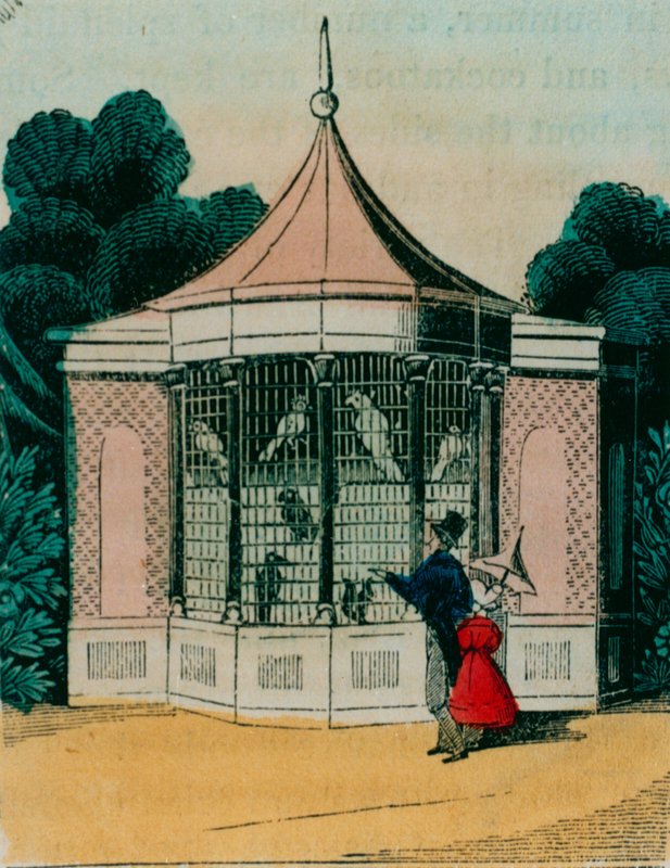 Volière voor papegaaien en kaketoes in de dierentuin van Londen. 1840s door English School