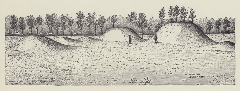 Avondale Mounds, Washington County, Mississippi (litho) door English School