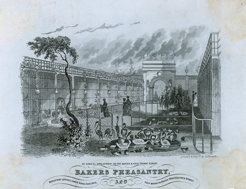 Bakers Fazanterie, Chelsea door English School