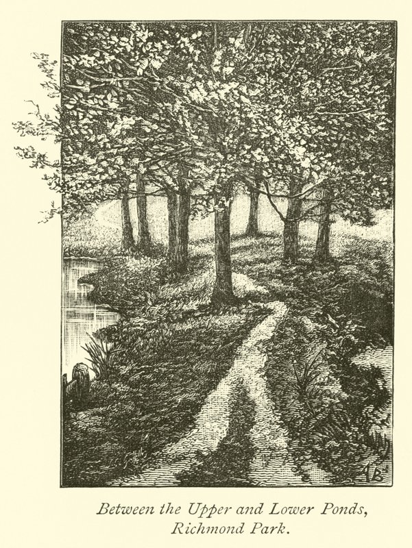 Tussen de Boven- en Benedenvijvers, Richmond Park door English School