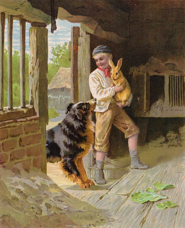 Jongen met een hond en een konijn op een boerderij door English School