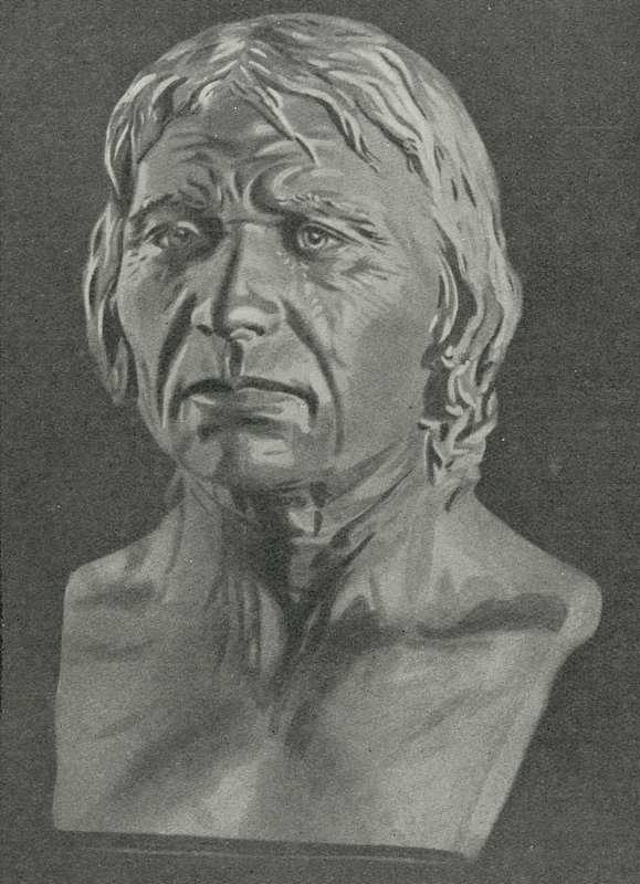 Buste van een Cro-Magnon man door English School