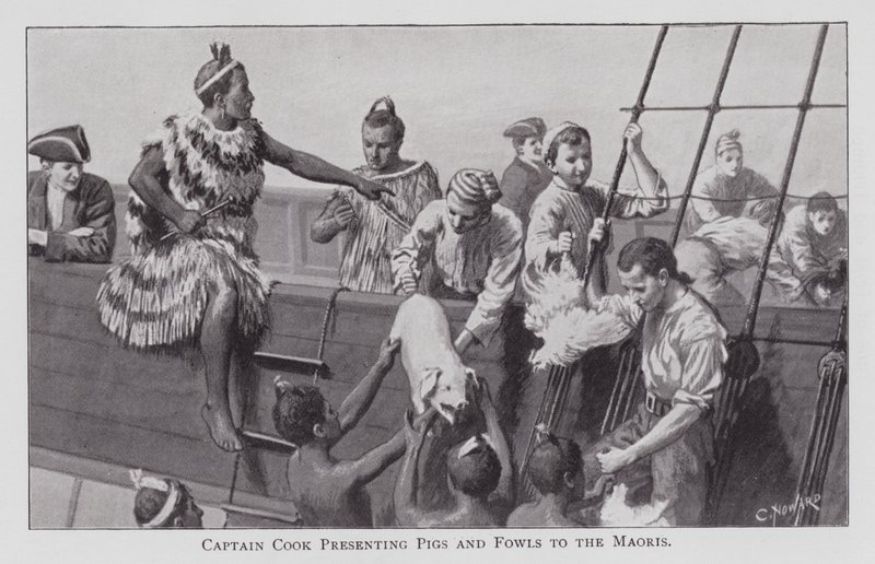 Kapitein Cook presenteert varkens en kippen aan de Maori